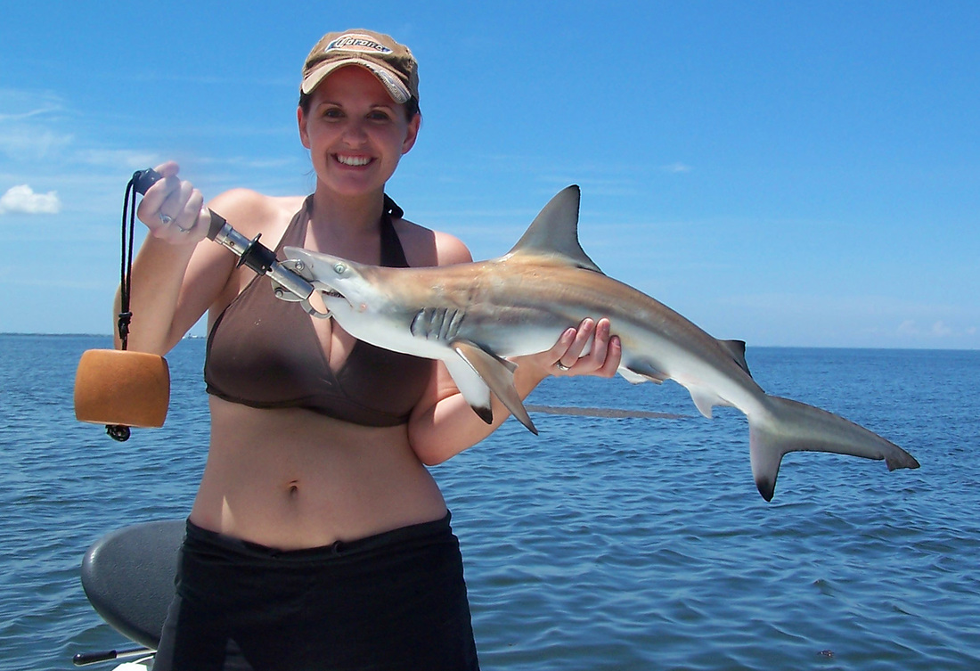 SHARK FISHING - Cocoa Beach Sportfishing  Cocoa Beach Fishing Charters  Offshore and Inshore